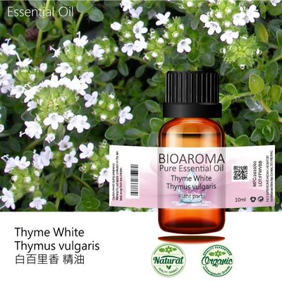 【純露工坊】白百里香精油Thyme White - Thymus vulgaris  10ml