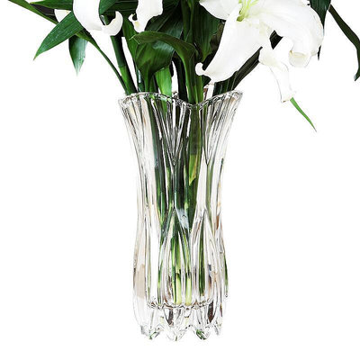 花瓶 居家用大號插百合富貴竹水培干花透明玻璃瓶