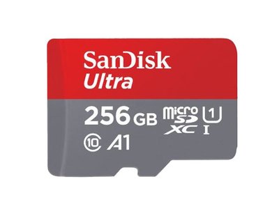 Sandisk ULTRA Micro-SDXC 256G 100MB C10 《刷卡0利率》