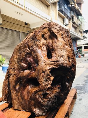 台灣檜木黃檜樹頭瘤榴-優惠價178000元