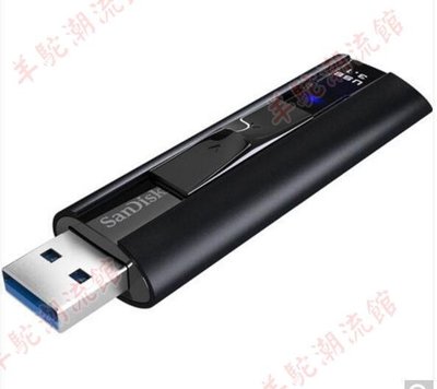 適用Sandisk閃迪CZ880極速USB3.1固態U盤128G/256G/512G/1T