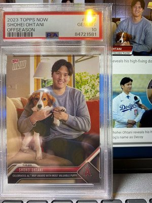 大谷翔平 2023 Topps Now 大谷 可愛狗狗卡 彈額頭 Dekopin Decoy PSA 10 滿分 現貨優惠價