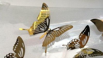 美學空間《鏡面不鏽鋼蝴蝶3D立體壁飾-莊周夢蝶-現代風格家飾‧擺飾‧壁貼‧裝飾品 》