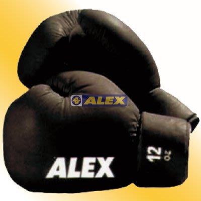 新莊新太陽 ALEX 丹力 B-0905 專業 運動 拳擊手套 16OZ 16盎司 黑 特670/雙