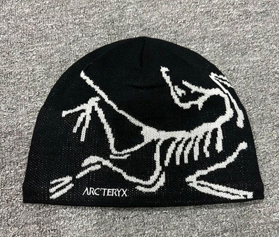 二手正貨Arcteryx 始祖鳥 BIRD HEAD TOQUE 毛帽喜歡長毛象 攀山鼠可以參考