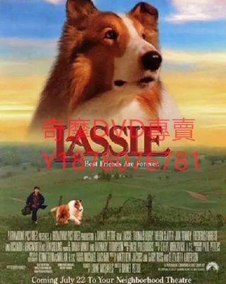 DVD 1994年 新靈犬萊西/Lassie 電影