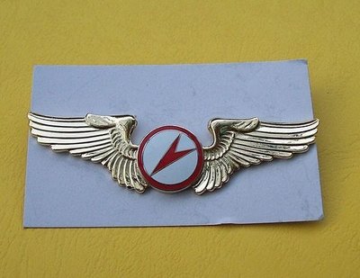 可欣台灣精品：老式空軍滑翔初級飛行徽章（蝴蝶釦）