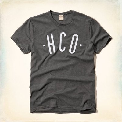 【Hollister Co. 】Classic Logo T-Shirt男海鷗LOGO短T---現貨M