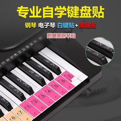 鋼琴886154鍵盤彩色音標貼自學初學者琴鍵貼紙電子琴音準位置貼