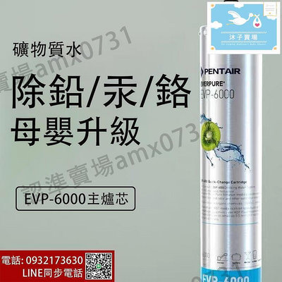 【現貨】EVERPURE 愛惠浦 EVP6000主濾芯一支愛惠浦凈水器濾芯原廠