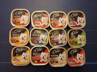 🌟寵物隊長🌟Cesar 西莎餐盒100g【24罐賣場】 12種口味 罐頭 狗餐盒 犬用