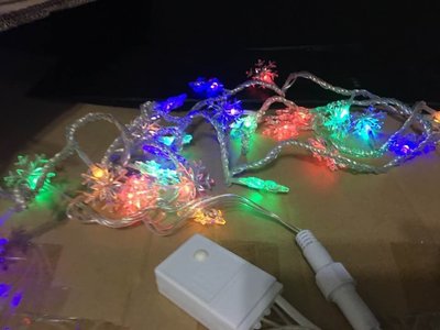 LED雪花燈串~(裝飾燈)~聖誕燈~燈飾/景觀照明