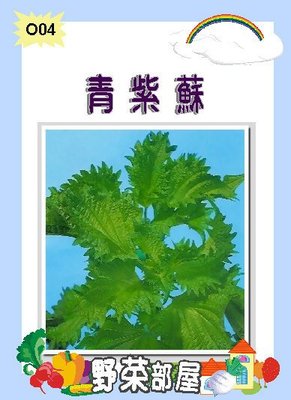 【野菜部屋~】O04 日本青紫蘇種子0.8公克 , 呈濃青綠色 , 每包15元~