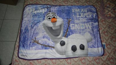 【佑佑小品】《全新未使用商品》迪士尼Disney冰雪奇緣Frozen野餐毯(也可當冷氣毯/嬰兒毯/童毯)