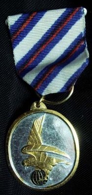 早期空軍:雄鷲獎章