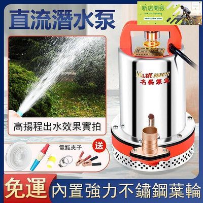 【現貨】 12V24V抽水機 戶外沉水馬達 家用抽水馬達 電瓶深水馬達 直流潛水泵 農用沉水幫浦 高揚程抽水泵浦