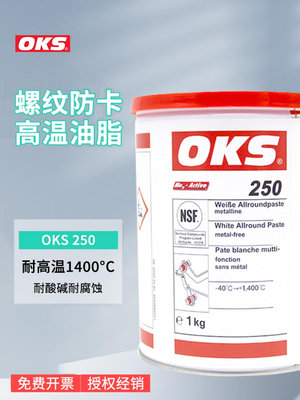 德國原裝奧凱斯OKS 250/2 OKS 250模具頂針油 耐高溫白油潤滑脂 - 沃匠家居工具