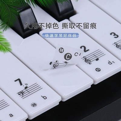 88鍵61鍵54鍵鋼琴電電子琴鍵盤貼紙透明貼五線譜簡譜自學~特價特賣-默認最小規格價錢
