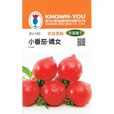 種子王國 小番茄- 嬌女【特選種子】農友牌 小包裝種子 約7粒/包