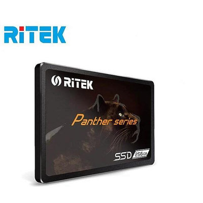 《SUNLINK》RITEK錸德 120GB SATA-III 2.5吋 SSD固態硬碟
