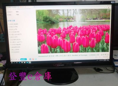 【登豐e倉庫】 夢幻鬱金 CHIMEI 奇美 24EA 24吋 LCD 液晶螢幕
