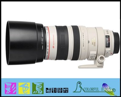 彩色鳥 (相機出租 鏡頭出租 DV出租) Canon EF 100-400mm f4.5-5.6L IS USM (大白) canon 100-400mm 租