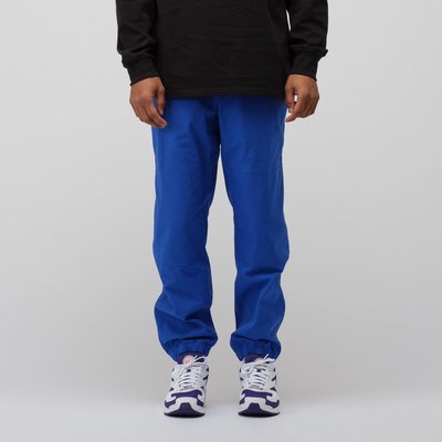 近全新 Nike ACG Trail Pant藍 縮口 長褲 S-L 紫粉 機能防潑水防風 工作運動褲