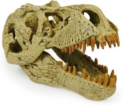 GEOWORLD T-Rex skull 暴龍 霸王龍 頭骨 / 1:10