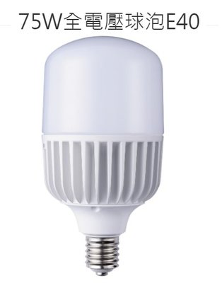 (LS)舞光 LED 大瓦數燈泡 E40 75W 黃光/白光 全電壓