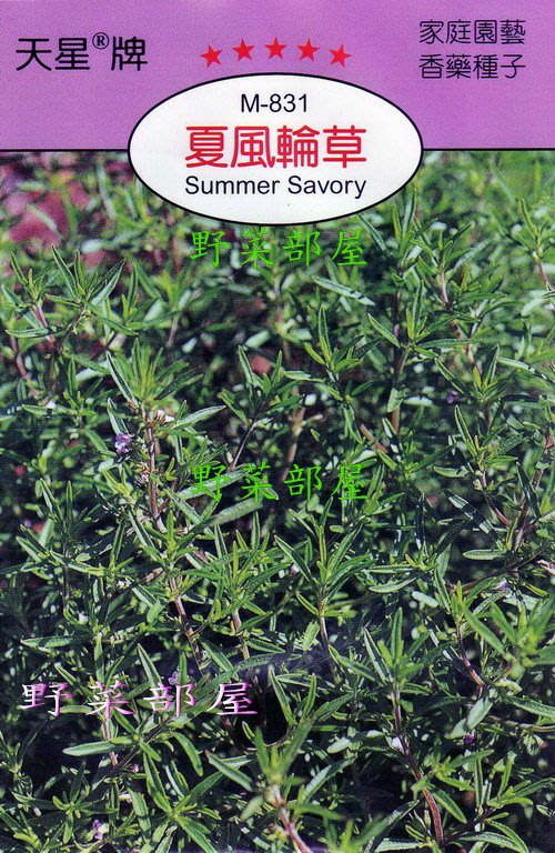 野菜部屋 S15 夏風輪草summer Savory 天星牌原包裝種子 每包15元 Yahoo奇摩拍賣