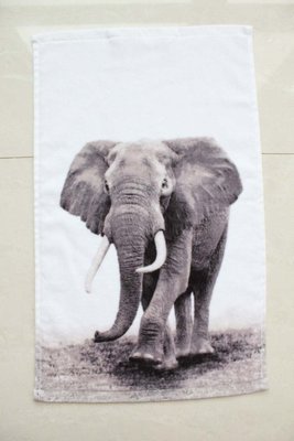 【小麼雜貨】H&M home北歐風 大象 洗臉毛巾 童巾 擦手巾 裝飾巾(現貨)C002(900)