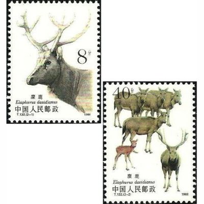 中國郵票-1989年-T132-麋鹿----全新-可合併郵資
