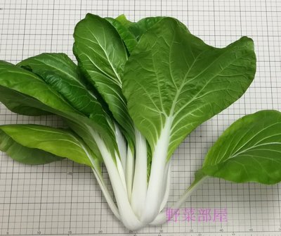 【野菜部屋~】F09日本黑葉白菜種子2.5公克 , 奶油白菜 , 葉片柔嫩 ,每包15元~