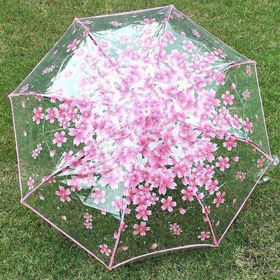 透明雨傘摺疊傘浪漫櫻花小清新三摺傘加厚耐用-好鄰居百貨