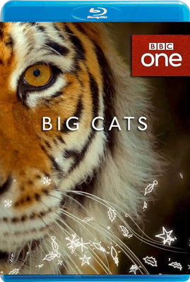 【藍光電影】BBC 大貓 / 大蟲 / Big Cats (2018)
