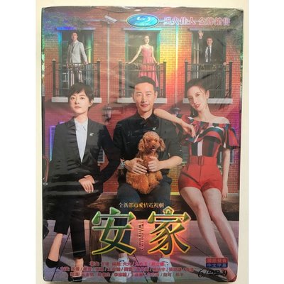 大陸劇 安家/賣房子的人 DVD 孫儷/羅晉 高清 全新盒裝 6碟