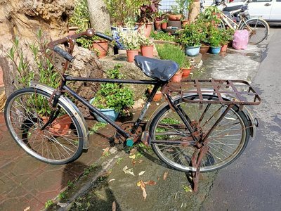 §【beauty /古董/文物 】§ 古早腳踏車，雙獅牌（老鐵馬）..功能正常可使用