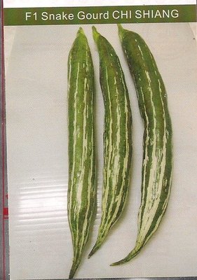 【蔬菜種子S048】奇祥蛇瓜~果皮淡綠，有白色條紋，果型特殊，口感佳。適合全年種植。