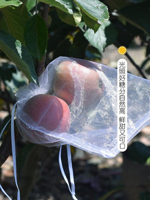 溜溜水果套袋防鳥防蟲專用網袋黃瓜苦瓜絲瓜葡萄無花果枇杷桃子保護袋