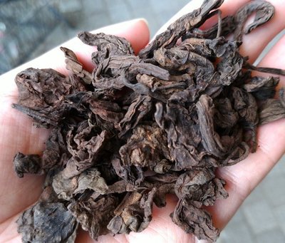 普洱茶熟茶 [明海園] 90年代 勐海大葉古樹茶 老黄片熟茶 散茶 500g