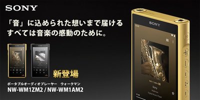 (可議價!)『J-buy』現貨日本~Sony NW-WM1ZM2 金磚 2代/二代 256GB 高音質數位隨身聽