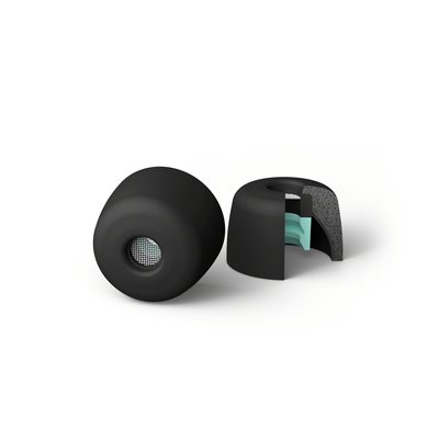 [ 平廣 公司貨 配件 SONY EP-NI1010L 耳機配件 耳套 噪音隔離耳塞 (L)
