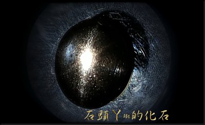 ♥Nina's stone§非洲寶石稀有【黑金剛】§ 十字星芒 *金色霓光強烈閃亮* 5.75ct【黑金太陽石】特價 1200元