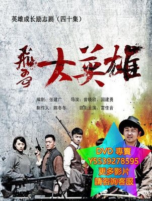 DVD 專賣 飛哥大英雄 大陸劇 2013年
