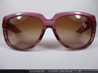 信義計劃 眼鏡 COACH 8085F 太陽眼鏡 漸層 膠框 大框 可配 抗藍光 全視線 偏光鏡片 sunglasses