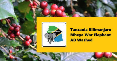 生豆✨500g｜坦尚尼亞 吉力馬札羅 姆貝亞區 戰象 AB 水洗｜咖啡生豆 COFFEE BEAN