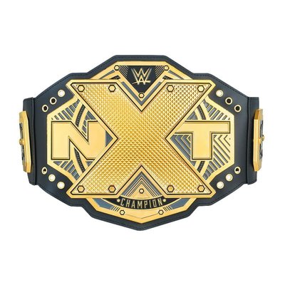 ☆阿Su倉庫☆WWE摔角 NXT Championship Toy Belt 新版NXT冠軍腰帶玩具版 熱賣特價中