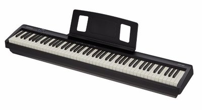 Roland FP-10 BK FP10 黑色 88鍵 電鋼琴 數位鋼琴（單鍵盤款） 原廠公司貨