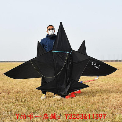 風箏新款風箏大全飛機風箏2024新款風箏成人兒童卡通黑戰斗機高檔大型戶外