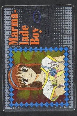 《CardTube卡族》(060829) 12 日本原裝橘子醬男孩萬變卡∼ 1994年遊戲銀閃卡